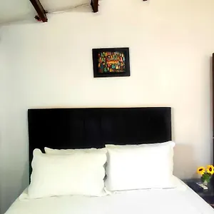En Centro Historico De Apartamento